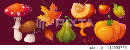 Autumn leaves icon. Fall pumpkin and mushroom set 119693776