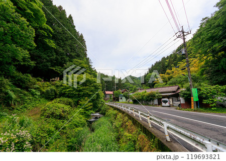 山中の峠道にある、旅人の道中を守る地蔵と道祖神の像 東京都あきる野市、日の出山登山道他 2024年 119693821