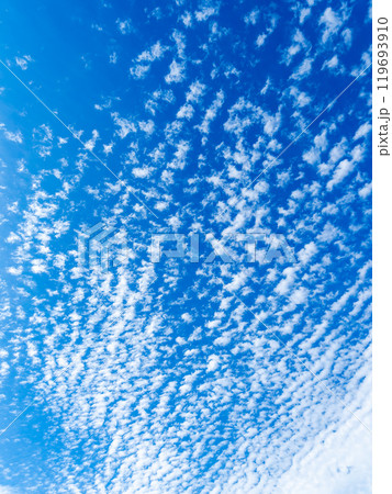 秋の空の景色　青空に浮かぶ雲 119693910