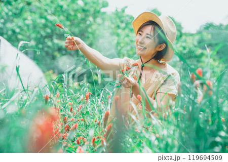 ストロベリーキャンドルのお花摘み 119694509