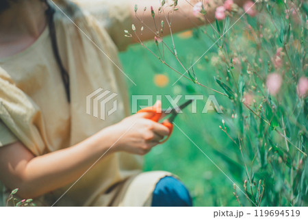 花摘み体験 花摘み体験 119694519