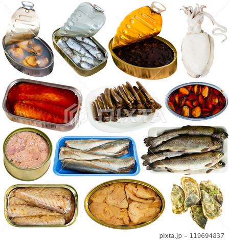 Raw and canned seafood and fish isolated on white 119694837