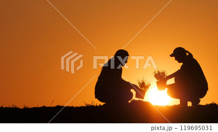Women farmers plant seedlings in a field against the backdrop of a picturesque sunset Women farmers plant seedlings in a field against the backdrop of a picturesque sunset 119695031