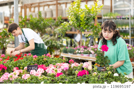 Inspired young Asian female customer in casual clothes inspecting potted Geranium Pelargonium flowers while shopping in garden center Inspired young Asian female customer in casual clothes inspecting potted Geranium Pelargonium flowers while shopping in garden center 119695197