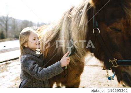 Young girl spending cold winter weekend on family farm, taking care of her pony, brushing his fur with 119695362