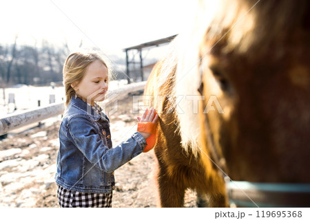 Young girl spending cold winter weekend on family farm, taking care of her pony, brushing his fur with Young girl spending cold winter weekend on family farm, taking care of her pony, brushing his fur with 119695368