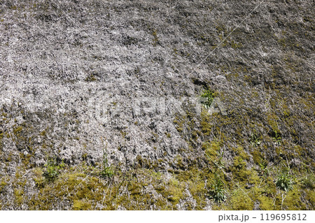 植物 苔の生えた茅葺屋根のディティール 植物 苔の生えた茅葺屋根のディティール 119695812