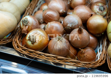 Bulb onion on counter in grocery store, nobody 119695996