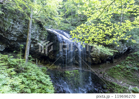 新緑の岩井滝 新緑の岩井滝 119696270
