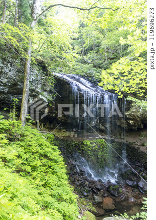 新緑の岩井滝 新緑の岩井滝 119696273