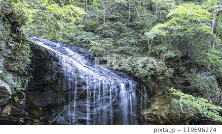 新緑の岩井滝 新緑の岩井滝 119696274