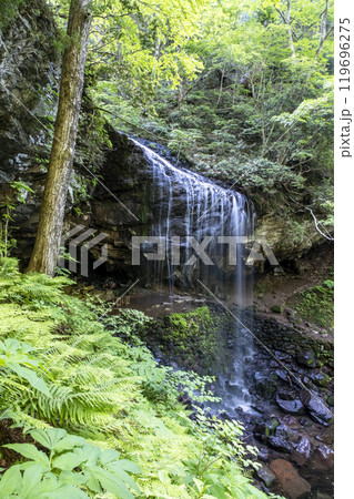 新緑の岩井滝 新緑の岩井滝 119696275
