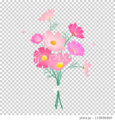 Illustration with a blooming Cosmos bouquet. 119696860