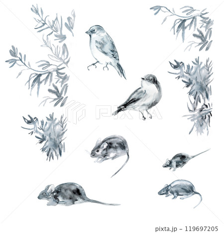 Set of bird, mouse, fish, olive tree branches in blue, black, grey colors. Floating fish, singing birds, hiding mice in handdrawn watercolor. It will be use as isolate elements, border of water stains 119697205