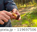 A woman's hand holds a knife and cleans boletus while picking mushrooms in the forest 119697506