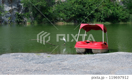 Photo of Egretta Garzetta and Paddle boat, a bird that lives on man-made objects. Photo of Egretta Garzetta and Paddle boat, a bird that lives on man-made objects. 119697912