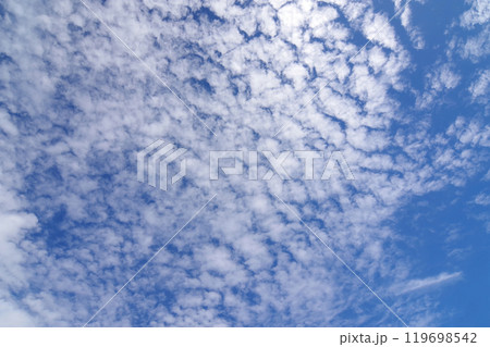 秋の空に広がるうろこ雲 119698542