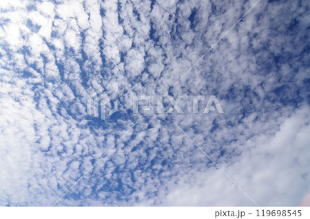 秋の空に広がるうろこ雲 秋の空に広がるうろこ雲 119698545