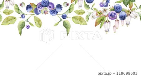 Blueberry blackberry with white bell flowers, green leaves, hand drawn in watercolor, forest berry on branches. Seamless banner garland illustration for restaurant, cafe menu, wedding, farmers market 119698603
