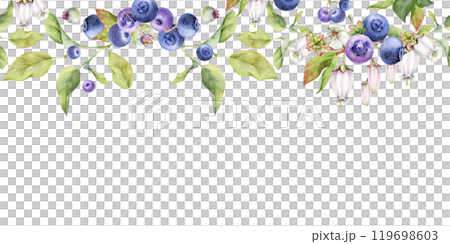 Blueberry blackberry with white bell flowers, green leaves, hand drawn in watercolor, forest berry on branches. Seamless banner garland illustration for restaurant, cafe menu, wedding, farmers market 119698603