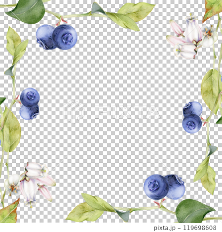 Blueberry blackberry with white pink bell flowers, hand drawn in watercolor, ripe forest berry bunch on branches. Isolated botanical frame illustration. Restaurant, dessert cafe menu, farmers market Blueberry blackberry with white pink bell flowers, hand drawn in watercolor, ripe forest berry bunch on branches. Isolated botanical frame illustration. Restaurant, dessert cafe menu, farmers market 119698608