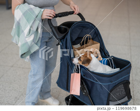 A Caucasian woman is shopping with her Jack Russell Terrier dog in a stroller in a shopping mall.  119698678
