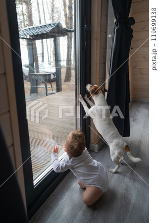 Cute baby boy and Jack Russell terrier dog looking through the patio window. Vertical photo.  119699138