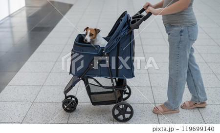 Caucasian woman walks through a shopping center with her Jack Russell Terrier dog in a stroller.  119699140