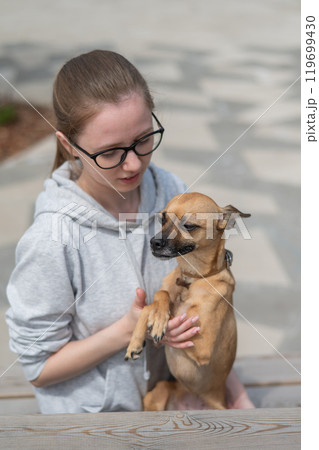Caucasian woman walking with Russian toy terrier dog.  119699430
