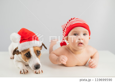 Cute little boy and Jack Russell terrier dog in santa hats on white background. Cute little boy and Jack Russell terrier dog in santa hats on white background. 119699590