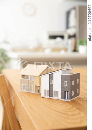 リビングダイニングキッチンに置かれた住宅模型 119700466