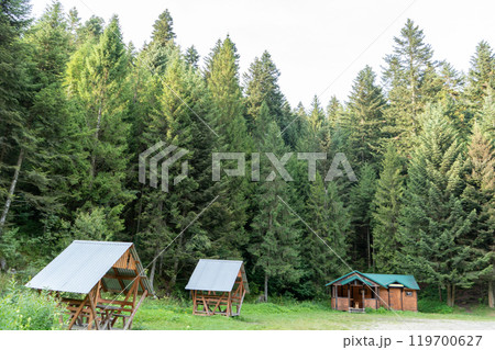 Recreation area, camping in the forest. Wooden houses. 119700627