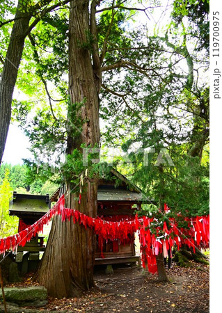 遠野遺産 卯子酉神社 遠野遺産 卯子酉神社 119700975