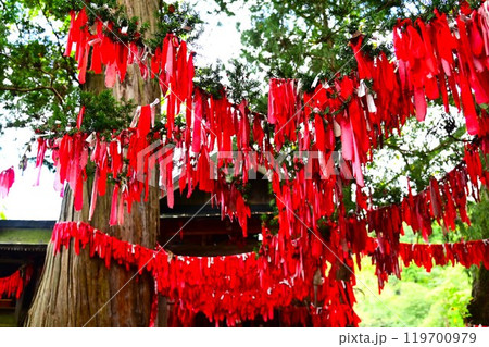 遠野遺産 卯子酉神社 遠野遺産 卯子酉神社 119700979