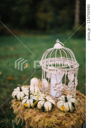 Decorative lantern surrounded by white pumpkins in a peaceful outdoor setting during autumn 119700990