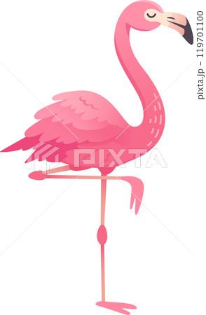 Cartoon flamingo with pink feathers standing on one leg, isolated on white background Cartoon flamingo with pink feathers standing on one leg, isolated on white background 119701100