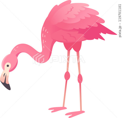 Cartoon flamingo bending its long neck looking for food, isolated on white background Cartoon flamingo bending its long neck looking for food, isolated on white background 119701181