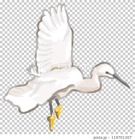 可愛的小白鷺在天空飛翔 119701307