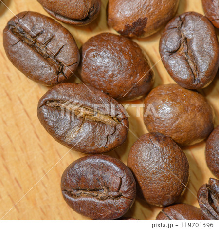 Coffee toasted seeds Coffee toasted seeds 119701396