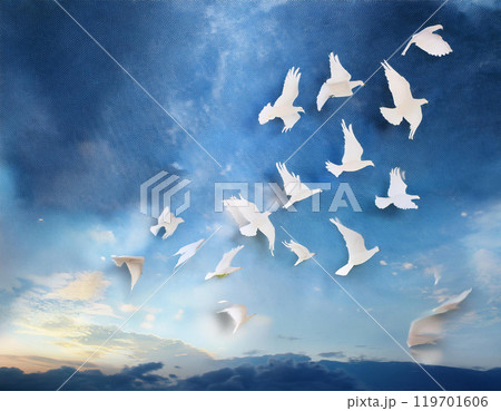 空をイメージする鳥 空をイメージする鳥