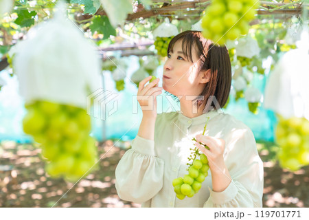 ぶどう狩りをする女性　果物狩りをする女性 119701771
