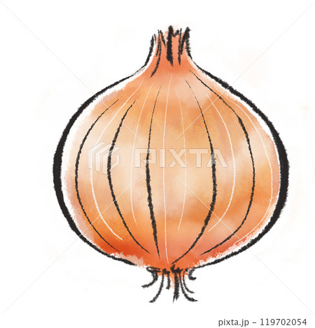 タマネギ　　イラスト　野菜 119702054