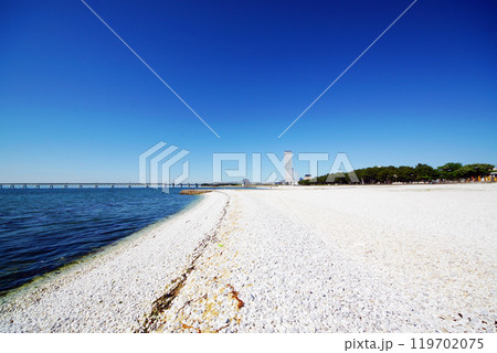 泉南マーブルビーチ　南浜 119702075