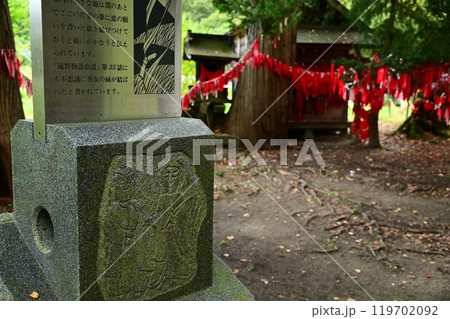 遠野遺産 卯子酉神社 遠野遺産 卯子酉神社 119702092