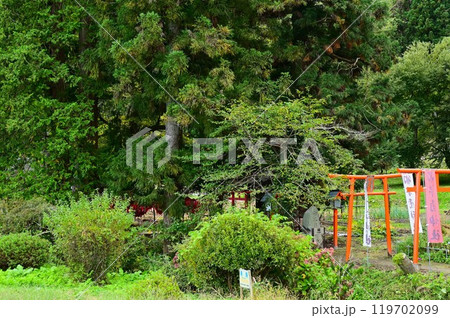 遠野遺産 卯子酉神社 119702099