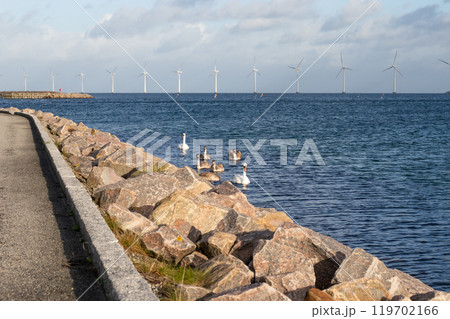 Flock of swans on the sea and Wind turbine farm power genarator in beautiful nature landscape. Flock of swans on the sea and Wind turbine farm power genarator in beautiful nature landscape. 119702166