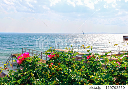 Beautiful seascape with sailing boat in the distance and pier Beautiful seascape with sailing boat in the distance and pier 119702230