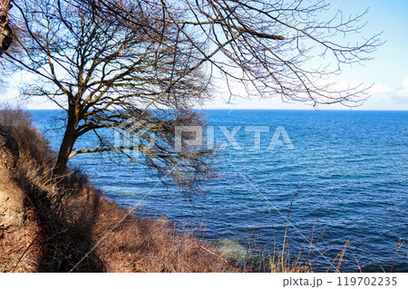 Blue sea and blue sky and a tree without leaves on a mountainside. Blue sea and blue sky and a tree without leaves on a mountainside. 119702235