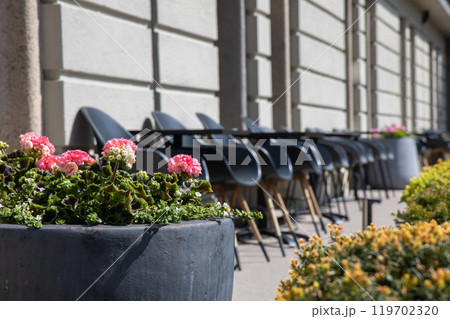 Terrace with outdoor furniture, lounge chairs and flowers in a pot on a sunny day. Terrace with outdoor furniture, lounge chairs and flowers in a pot on a sunny day. 119702320