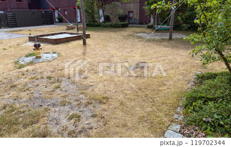 Summer drought. Dry grass. Summer without rain. Summer drought. Dry grass. Summer without rain. 119702344